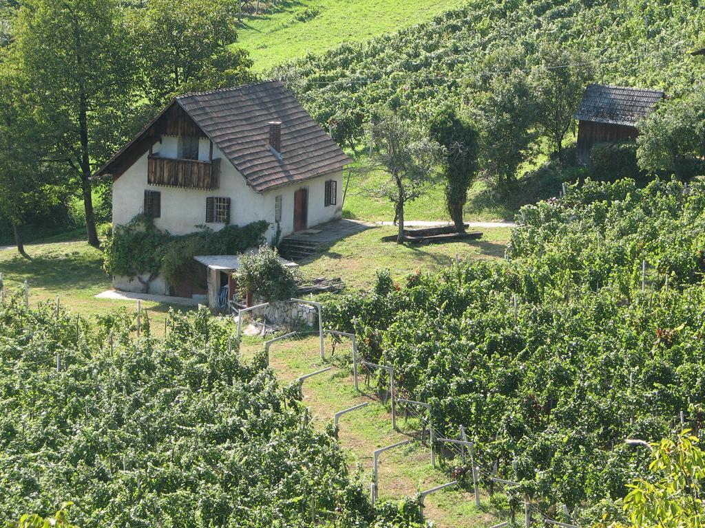 Guesthouse Zorko Gostilna Domen Smarjeske Toplice ภายนอก รูปภาพ