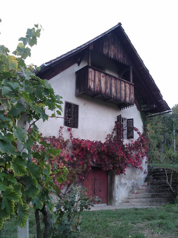 Guesthouse Zorko Gostilna Domen Smarjeske Toplice ภายนอก รูปภาพ