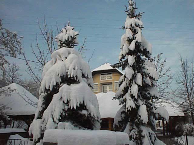 Guesthouse Zorko Gostilna Domen Smarjeske Toplice ภายนอก รูปภาพ