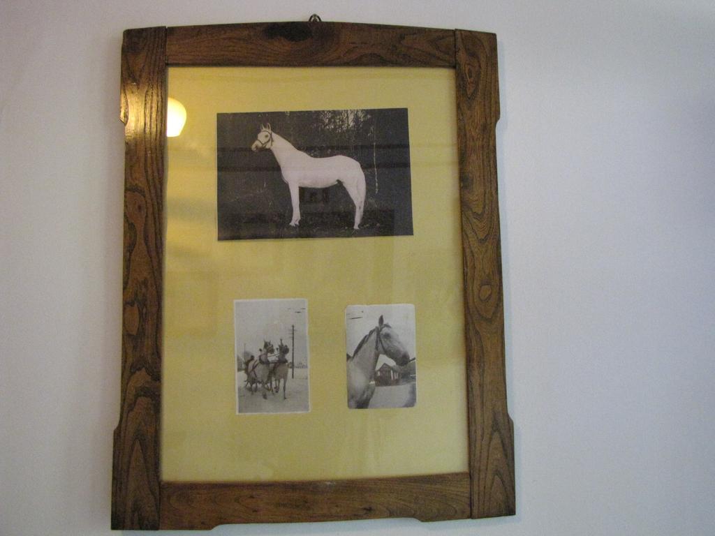 Guesthouse Zorko Gostilna Domen Smarjeske Toplice ภายนอก รูปภาพ