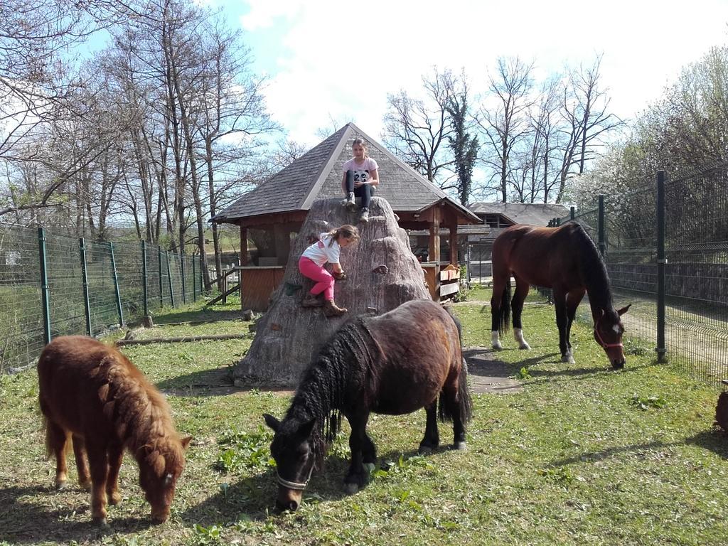 Guesthouse Zorko Gostilna Domen Smarjeske Toplice ภายนอก รูปภาพ